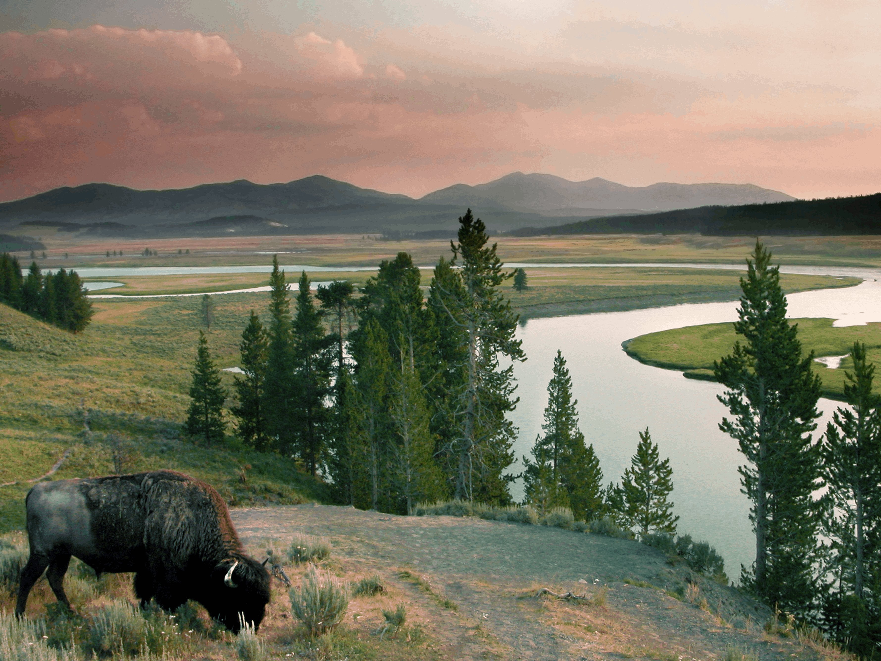 Yellowstone Gear