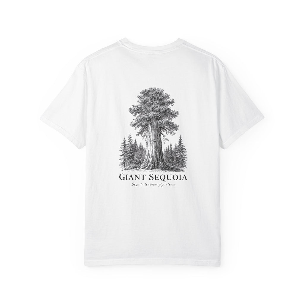 Giant Sequoia - Graphic Tee