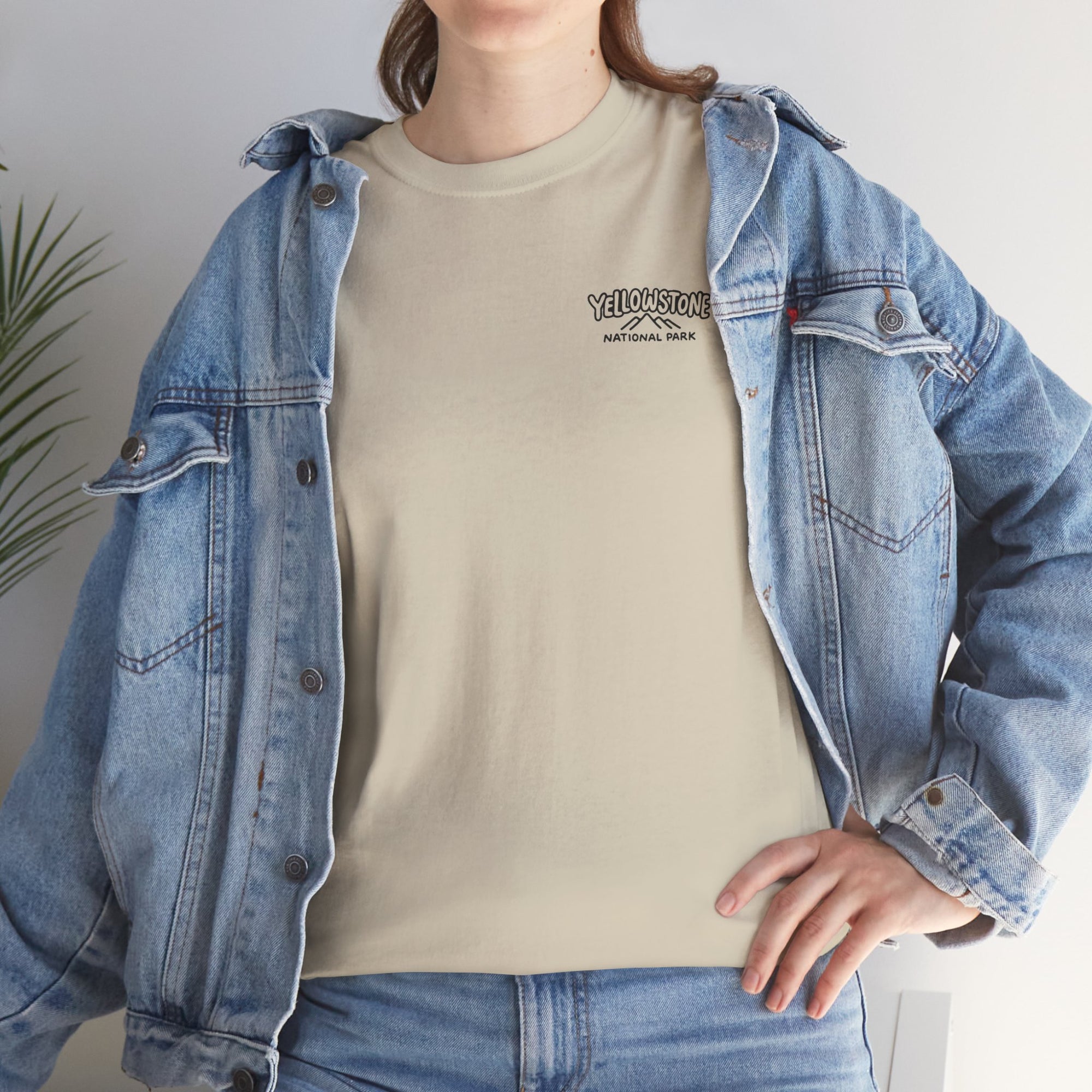 Grand Canyon of the Yellowstone - Graphic Tee