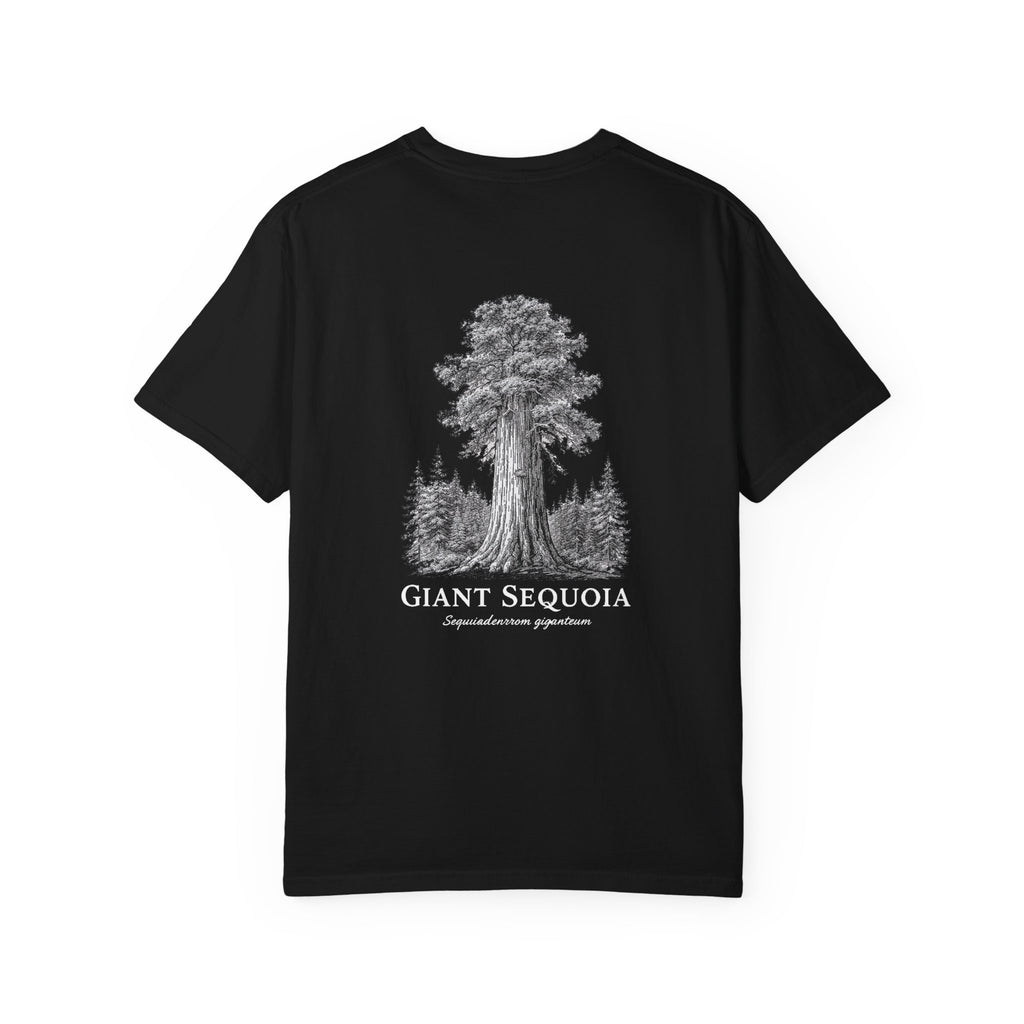 Giant Sequoia - Graphic Tee