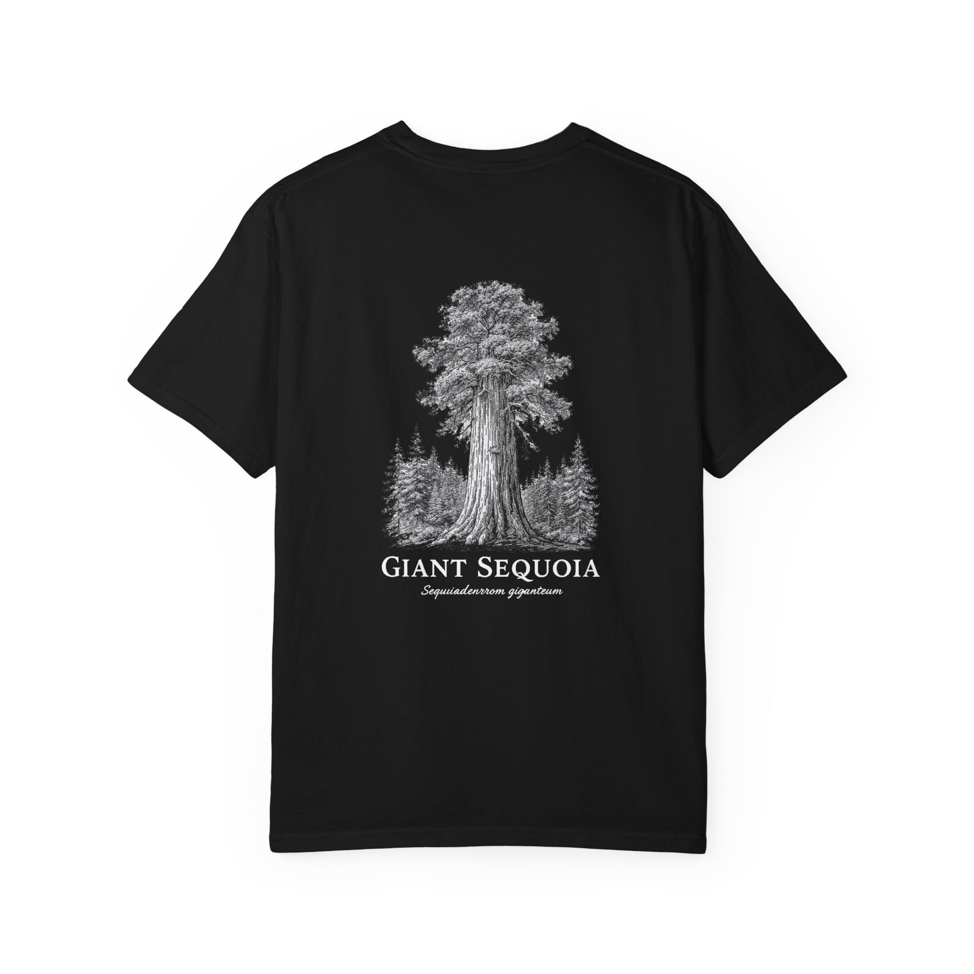 Giant Sequoia - Graphic Tee